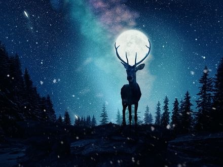 Обои на рабочий стол Луна в оленьих рогах, фотограф Caras Ionut