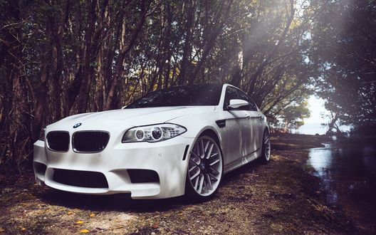 Обои на рабочий стол Белая bmw m5 стоит на берегу речки