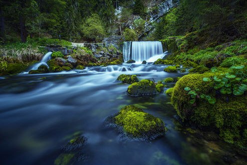 Обои на рабочий стол Источник Jura, France / дю Ду-Jura, Франция, фотограф Lensup