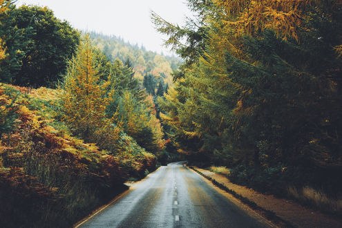 Обои на рабочий стол Дорога к осени, фотограф Daniel Casson