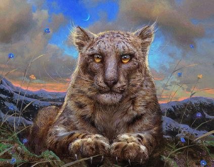 Обои на рабочий стол Леопард с янтарными глазами, by 25kartinok