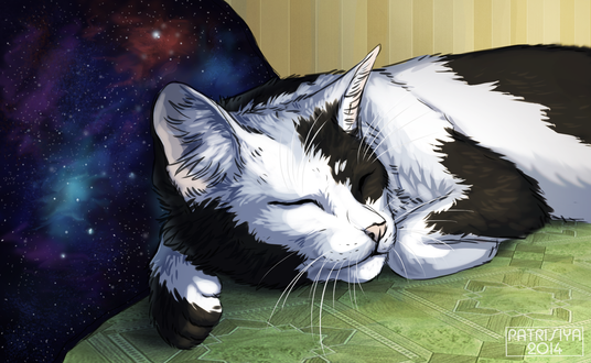 Обои на рабочий стол Спящий черно-белый кот на фоне космоса, by Cat-Patrisiya