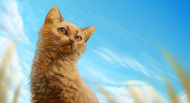 Обои на рабочий стол Рыжий кот на фоне голубого неба, by Cat-Patrisiya