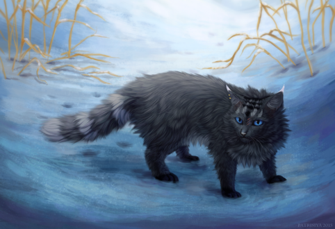 Обои на рабочий стол Дымчатый голубоглазый кот на снегу, by Cat-Patrisiya