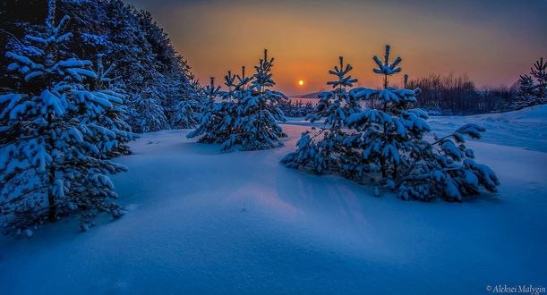 Обои на рабочий стол Зимний закат, фотограф Aleksei Malygin