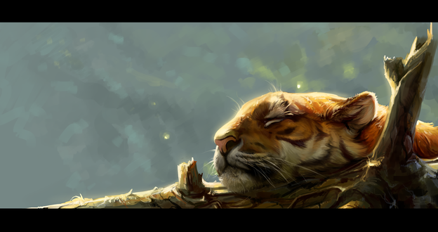 Обои на рабочий стол Спящий тигр на ветке, by SalamanDra-S