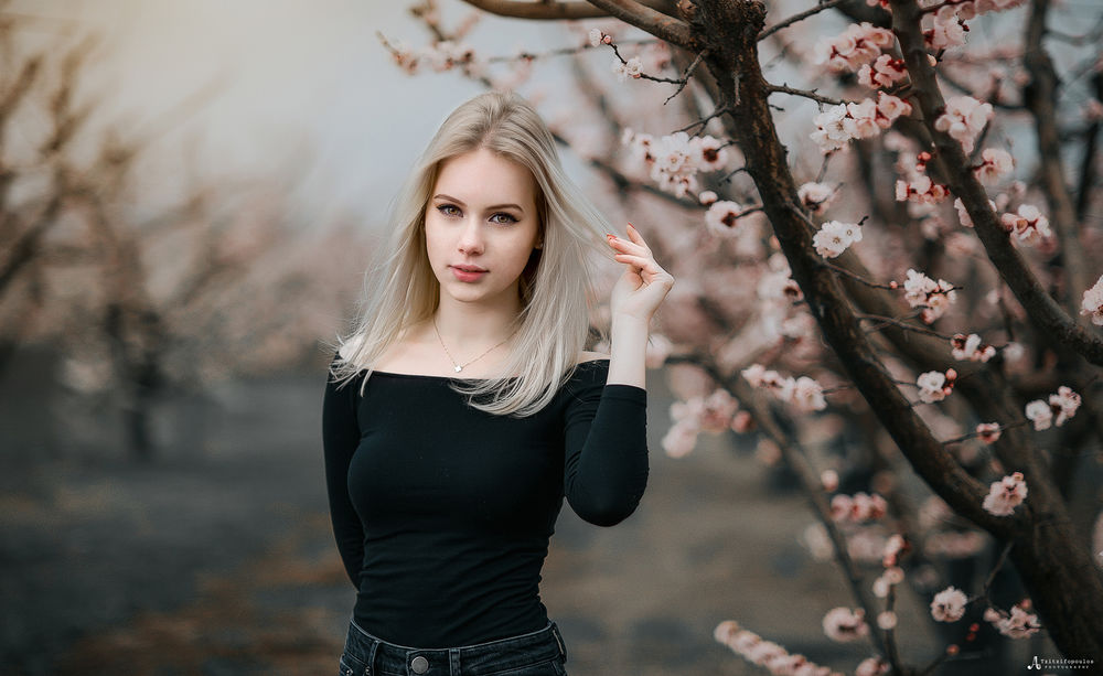 Обои для рабочего стола Красивая девушка Арина позирует возле сакуры, фотограф Angelos Tzitzifopoulos