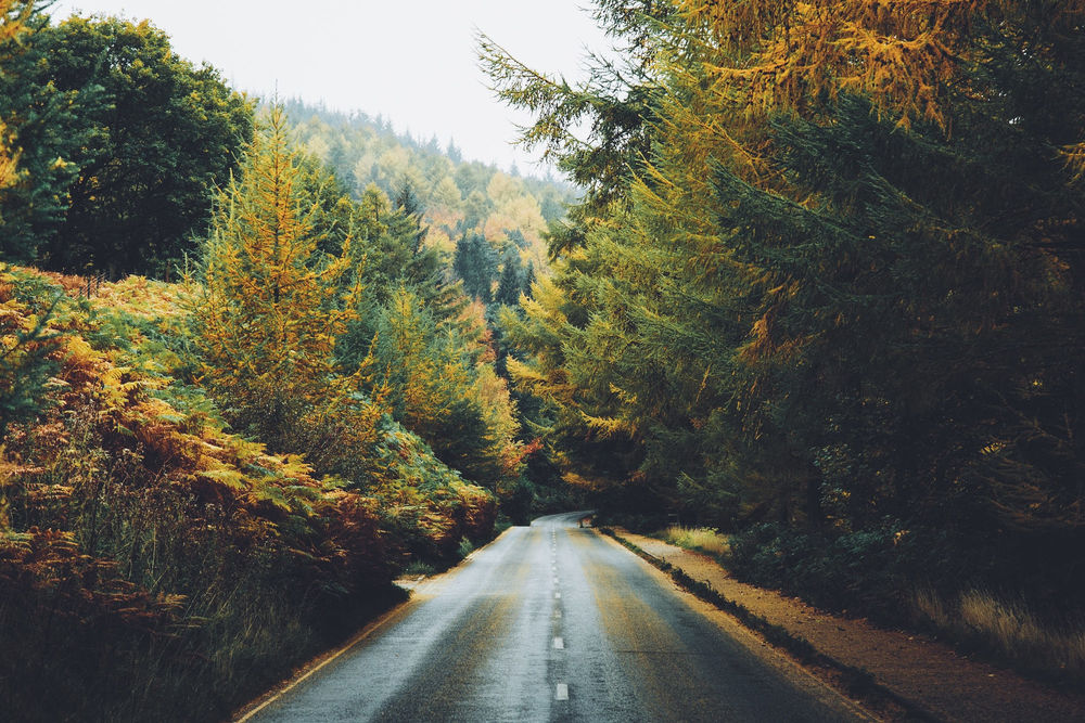 Обои для рабочего стола Дорога к осени, фотограф Daniel Casson