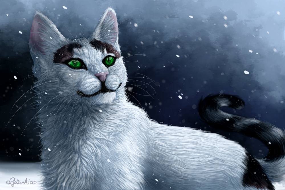 Обои для рабочего стола Бело-черная кошка с зелеными глазами на фоне снега, by Taliy4h