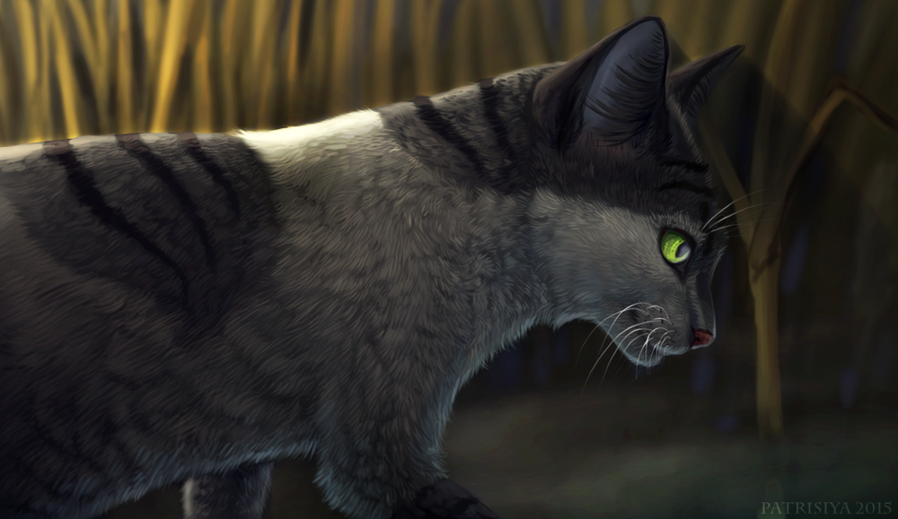 Обои для рабочего стола Зеленоглазая кошка среди камышей, by Cat-Patrisiya