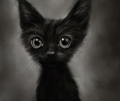Обои на рабочий стол Черный котенок, by Lusidus