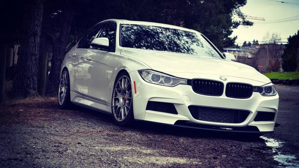 Обои на рабочий стол Белый BMW m3 стоит на дороге в парке