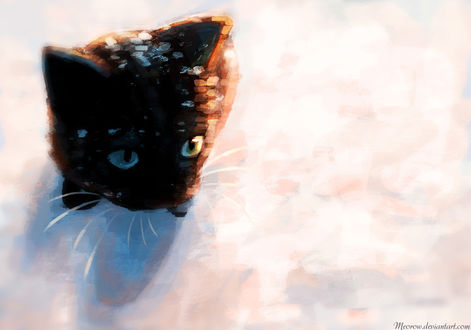 Обои на рабочий стол Черный котенок в снегу, by Meorow