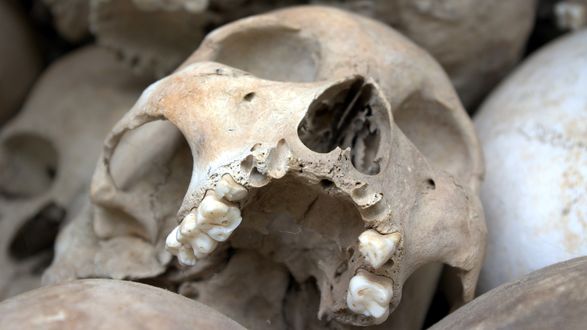 Обои на рабочий стол Один череп из груды других. Фрагмент стены храма Костница в Седлеце