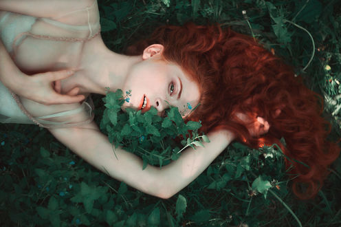 Обои на рабочий стол Модель Саша лежит на зеленой растительности, фотограф Nora Drugan