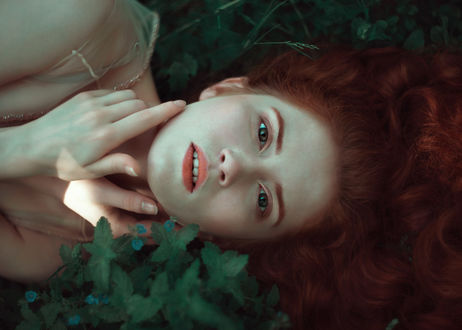 Обои на рабочий стол Модель Саша лежит на зеленой растительности, фотограф Nora Drugan