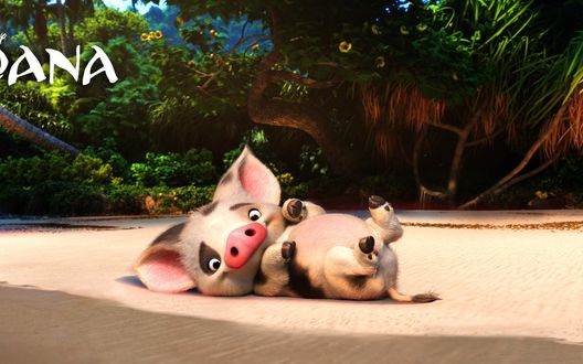 Обои на рабочий стол Поросенок Pua / Пуа из мультфильма Moana / Моана