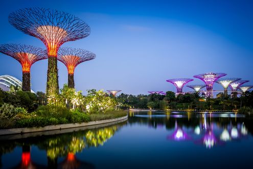 Обои на рабочий стол Кибер-деревья в парке Сады у залива / Gardens by the Bay, Сингапур / Singapur
