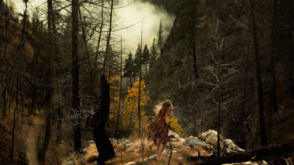 Обои на рабочий стол Девушка с длинными волосами стоит в лесу, Lichon Photography