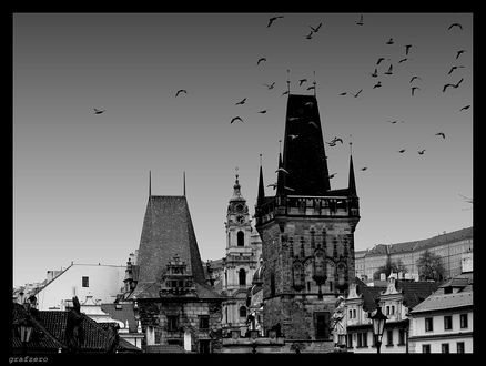 Обои на рабочий стол Прага / Prague, Чехия, Карлов мост. Птицы кружат в небе