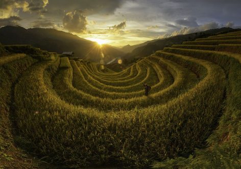 Обои на рабочий стол Рисовая терраса во время заката, Vietnam / Вьетнам, фотограф Saravut Whanset