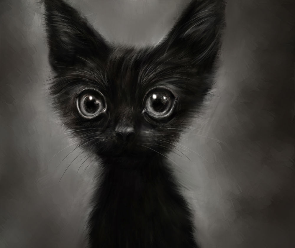 Обои для рабочего стола Черный котенок, by Lusidus