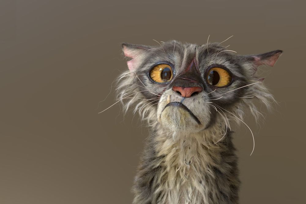 Обои для рабочего стола Кот с желтыми глазами корчит морду, by Yannick Vincent
