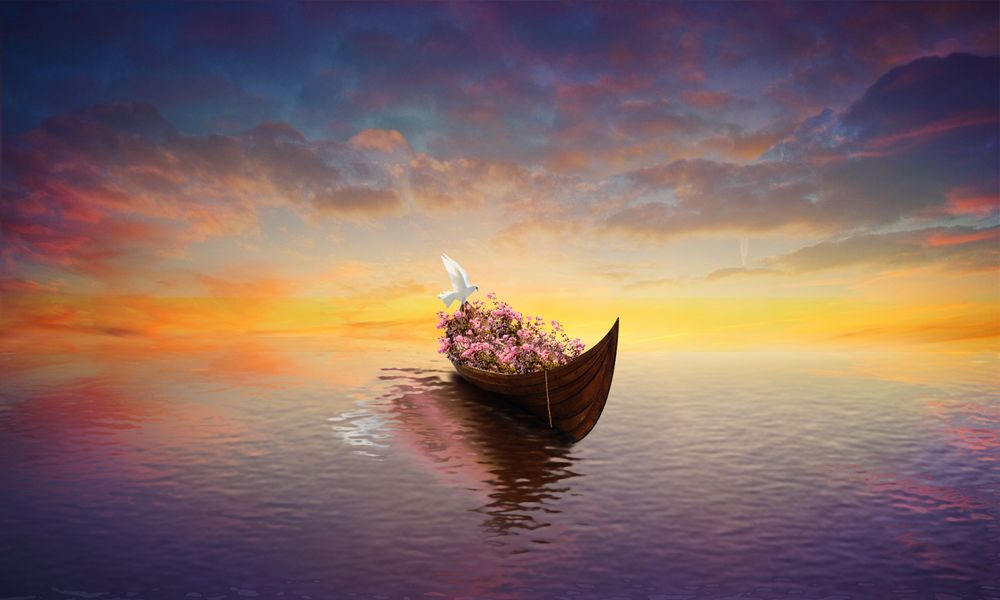 Обои для рабочего стола Лодка памяти с цветами и белой голубкой, скользящая по воде на закате