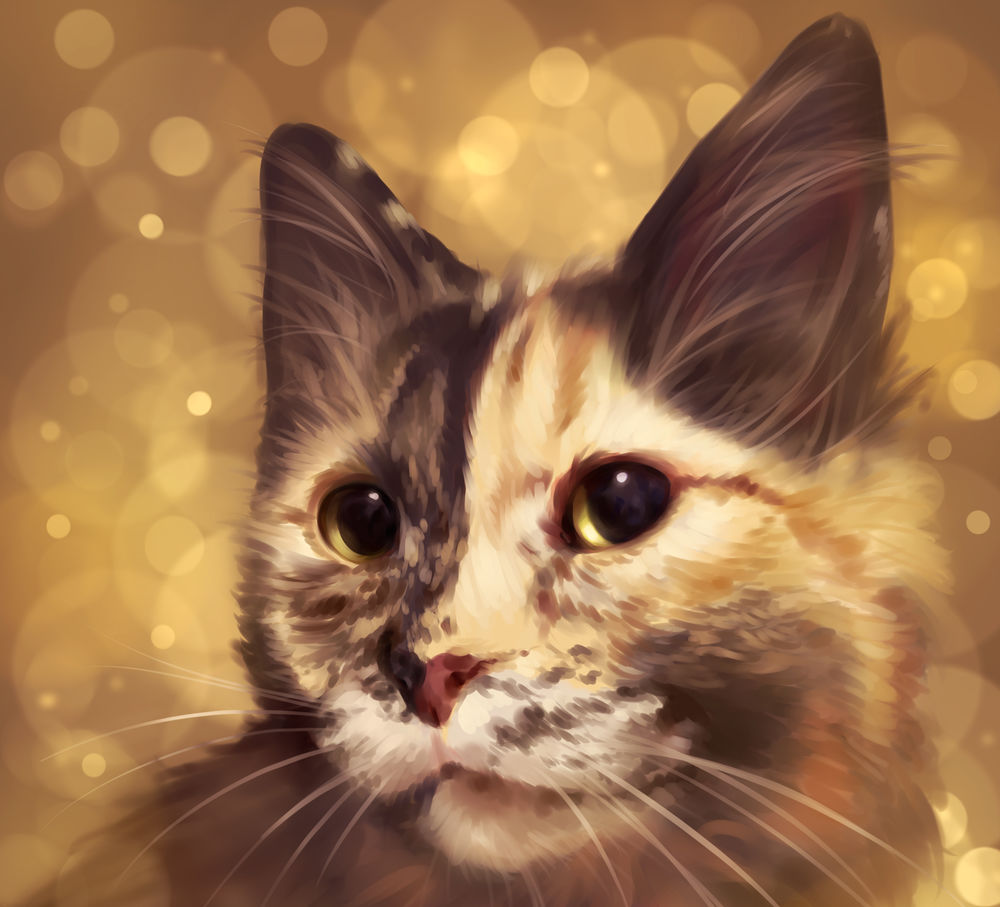 Обои для рабочего стола Полосатый кот на фоне с боке, by Martith