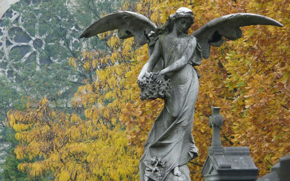 Обои для рабочего стола Каменный ангел на фоне собора и дерева с желтыми листьями осенью