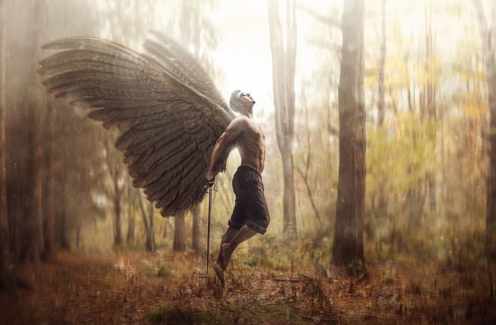 Обои для рабочего стола Мужчина-ангел в осеннем лесу пытается взлететь, фотограф Роберт Корнелиус