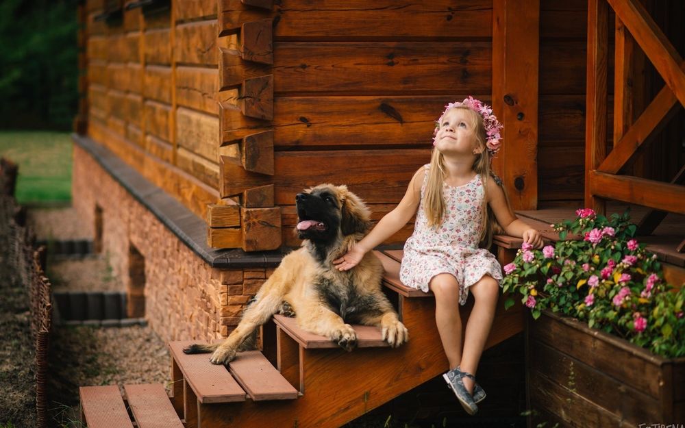 Обои для рабочего стола Девочка с щенком сидят на лестнице у дома