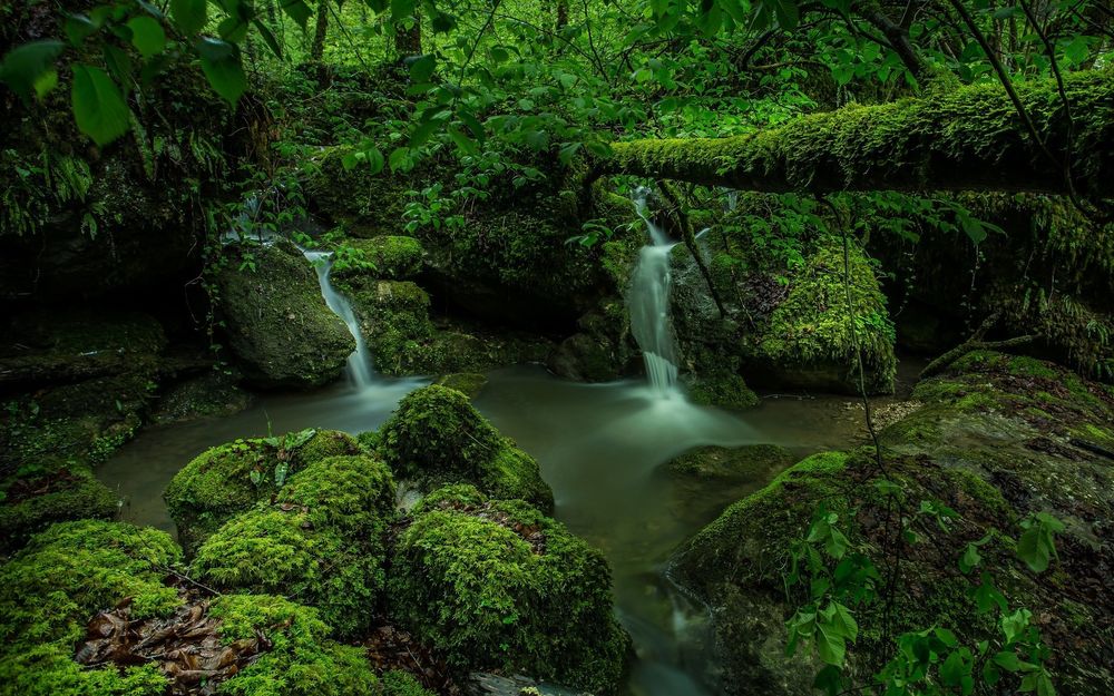 Фотообои Маленькие водопады - купить в интернет-магазине Фото в дом | Каталог с ценами и фото.