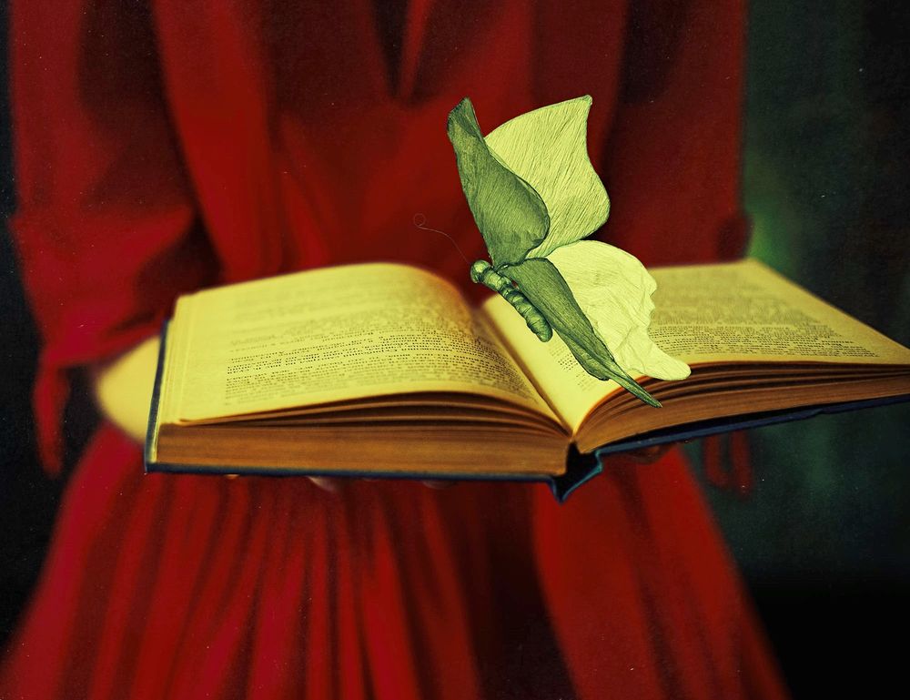 Обои для рабочего стола Девушка в красном платье держит книгу с бабочкой, фотограф Nora Drugan