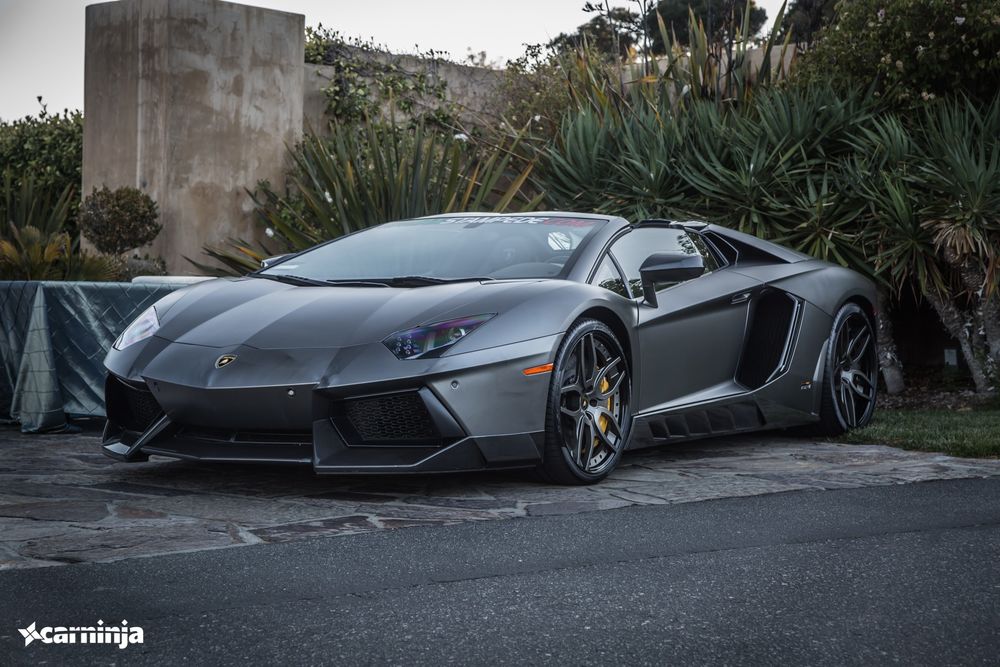 Обои для рабочего стола Lamborgini возле зарослей