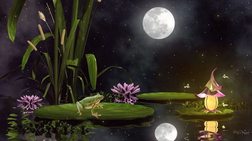 Обои для рабочего стола Лягушка в лунную ночь на озере с цветущими лилиями
