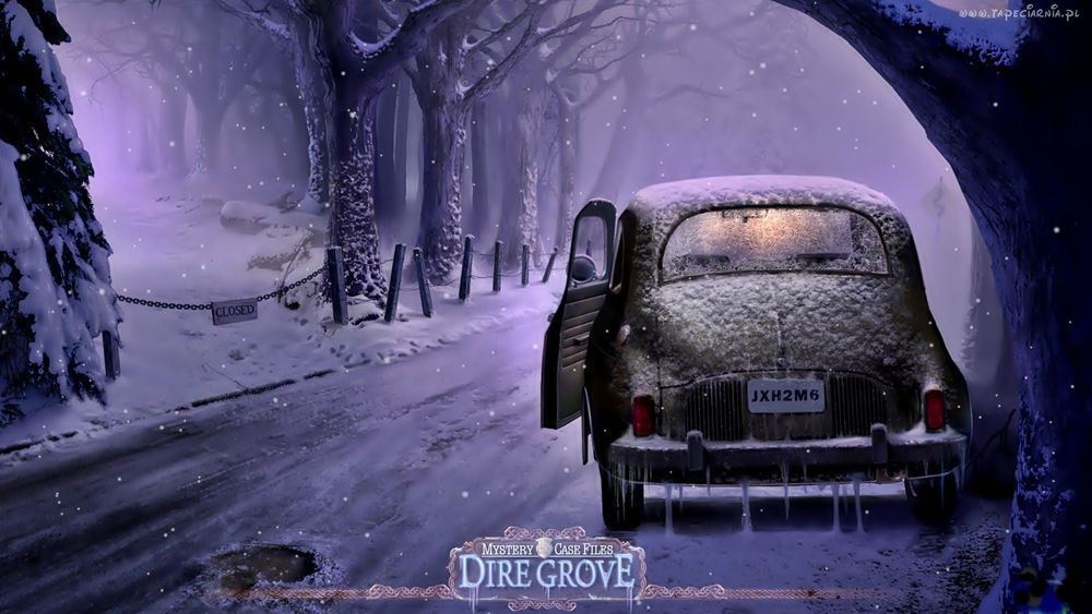 Обои для рабочего стола Автомобиль стоит на дороге, возле деревьев, зимой, ночью, под снегом, с приоткрытой дверью. (Dire Grove)