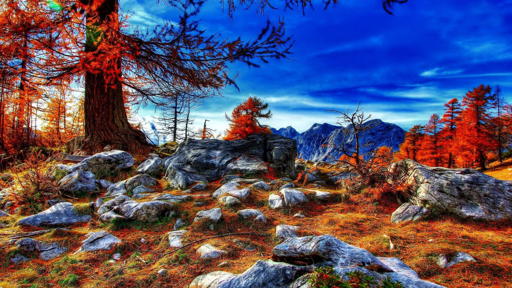 Обои для рабочего стола Камни на краю леса, поросшие желтой осенней травой, осенние деревья и горы под синим небом