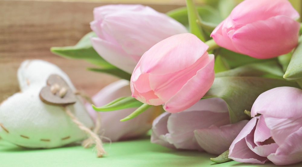 Обои для рабочего стола Нежные розовые, сиреневые тюльпаны и сердечко рядом
