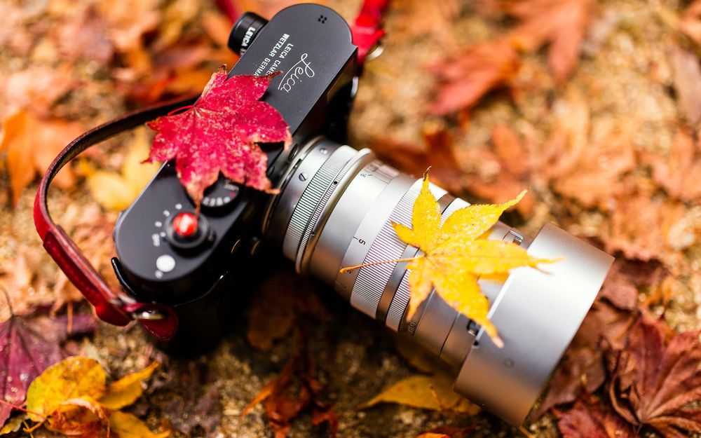 Обои для рабочего стола Осенние листья клена на фотоаппарате