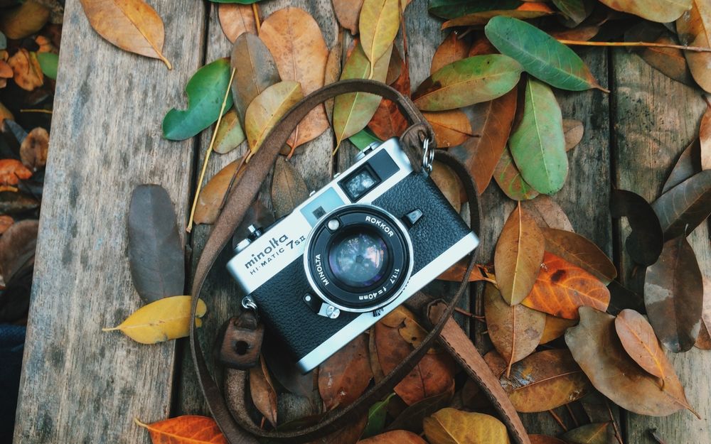 Обои для рабочего стола Фотоаппарат лежит на деревянной поверхности в окружении осенней листвы, фотограф Louis Auster