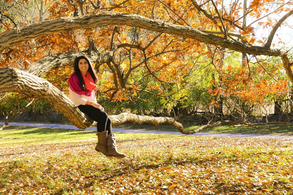 Обои для рабочего стола Девушка сидит на ветке дерева в осеннем парке
