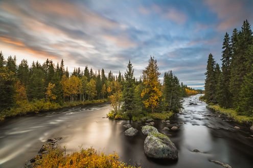 Обои на рабочий стол Ранняя осень на реке, фотограф Jоrn Allan Pedersen