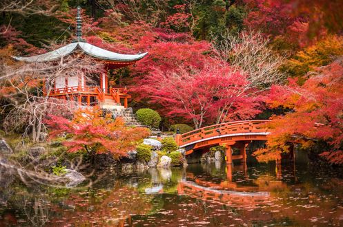 Обои на рабочий стол Пагода Daygo-ji и красный мосток у пруда в осеннем парке, Kyoto / Киото, Japan / Япония