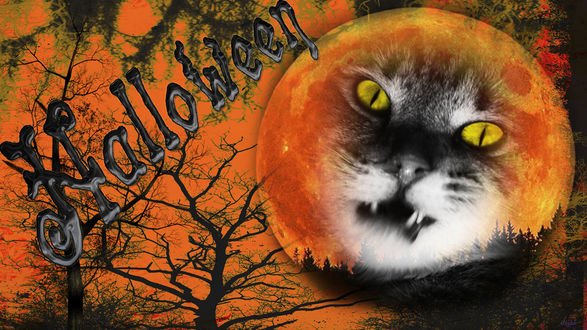 Обои на рабочий стол Кот на фоне луны среди деревьев ночью в Хеллоуин Halloween
