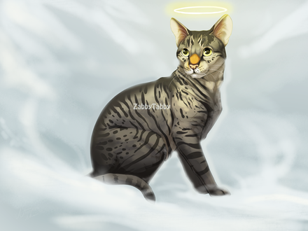 Обои на рабочий стол Кот с нимбом над головой на фоне пушистого облака, by ZabbyTabby