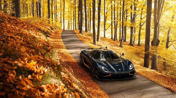Обои на рабочий стол Koenigsegg agera в осеннем парке