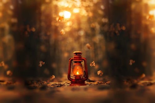 Обои на рабочий стол Горящий фонарь под листопадом, by Ashraful Arefin
