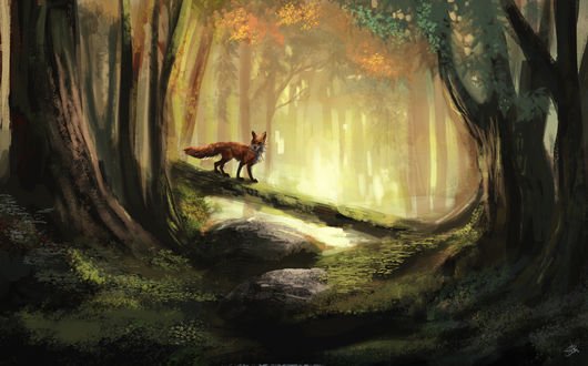 Обои на рабочий стол Лис в лесу, by ArcRoto