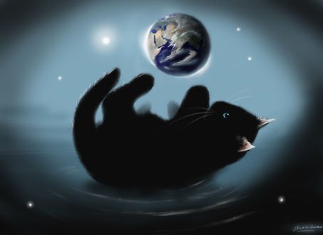Обои на рабочий стол Черный котенок играет с Землей, by SirNerdly